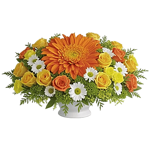 Radiant Bloom Cascade