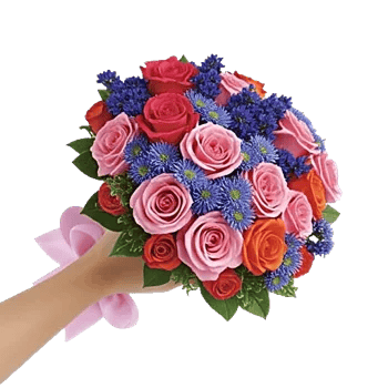 Pastel Pink Roses