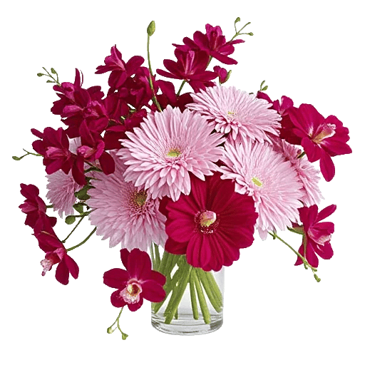 Orchid Bloom Cascade