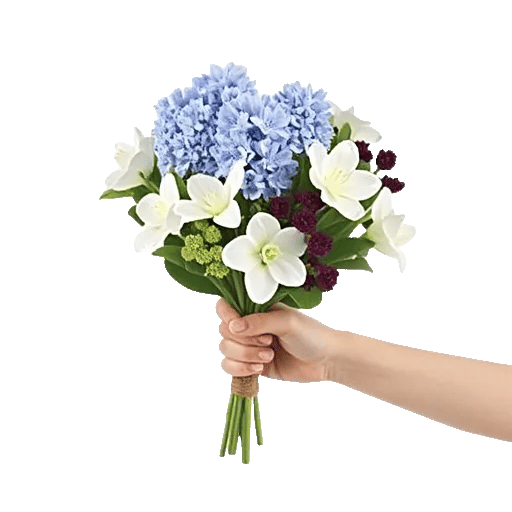 Serene Petal Harmony