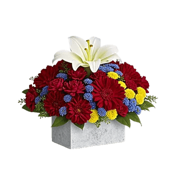 Graceful Lily Display