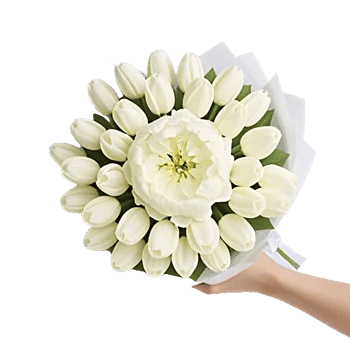 Petal Grace Harmony