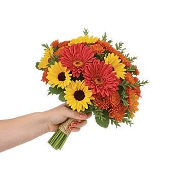 Coral Blossom Harmony