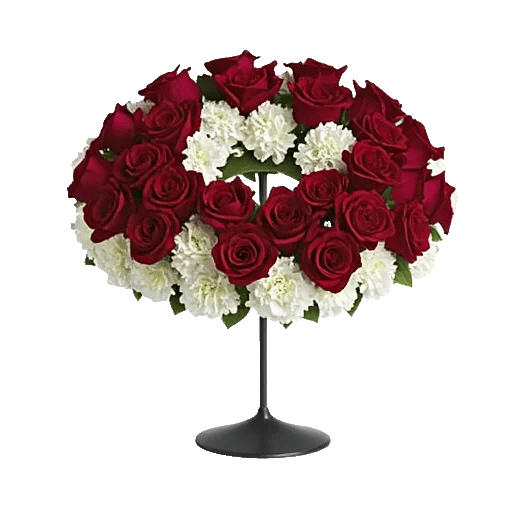 Crimson Rose Elegance