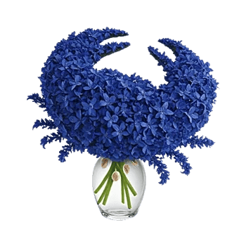 Sapphire Bloom Whisper