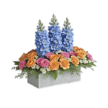 Serenity Blossom Grace