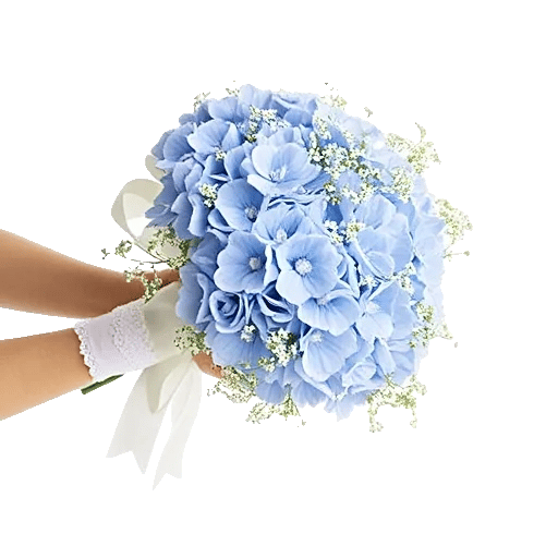 Serene Petal Harmony