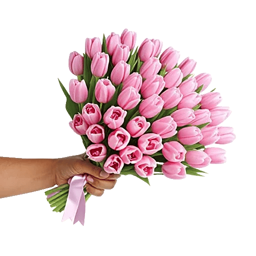 Velvet Tulip Display