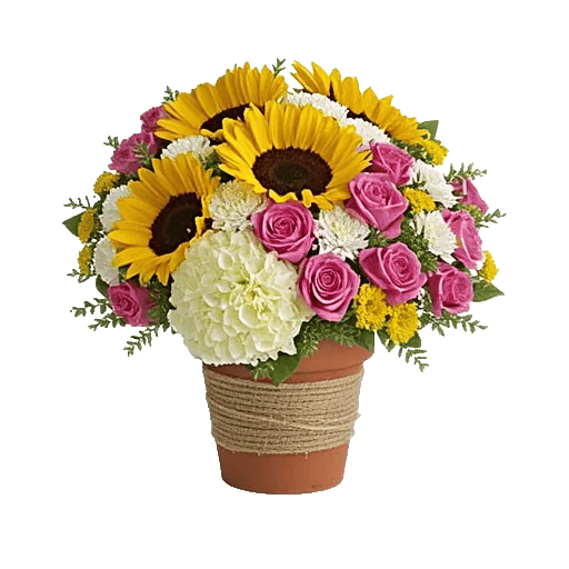 Amber Sunflower Glow