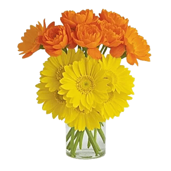 Petal Radiance Bliss