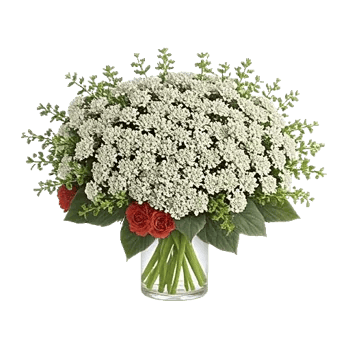 Delicate Petal Cascade