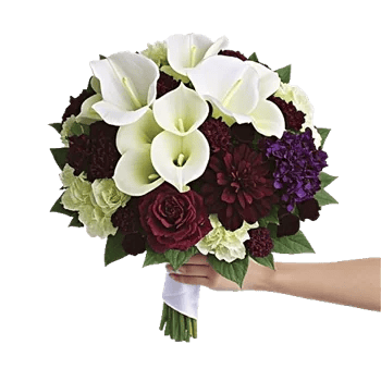 Delicate Petal Cascade