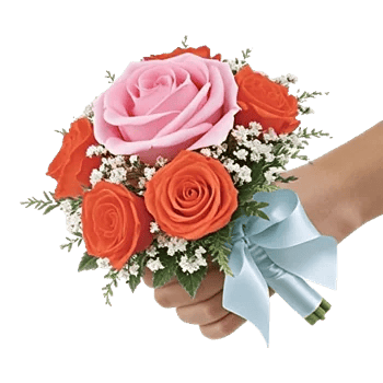 Pastel Pink Roses