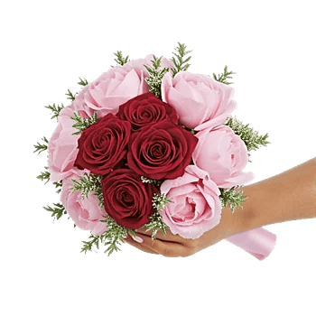 Peony Petal Harmony