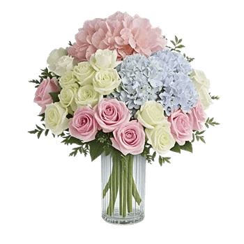 Ivory Blossom Radiance