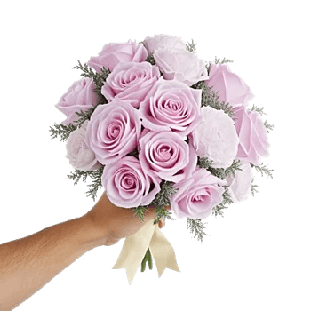 Pastel Pink Roses