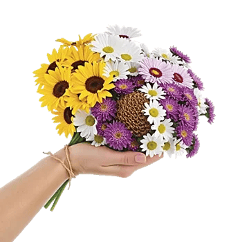Fresh Meadow Blooms