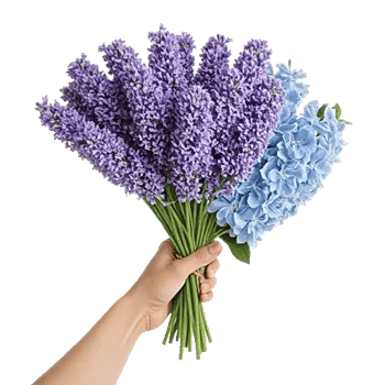 Serenity Blossom Grace