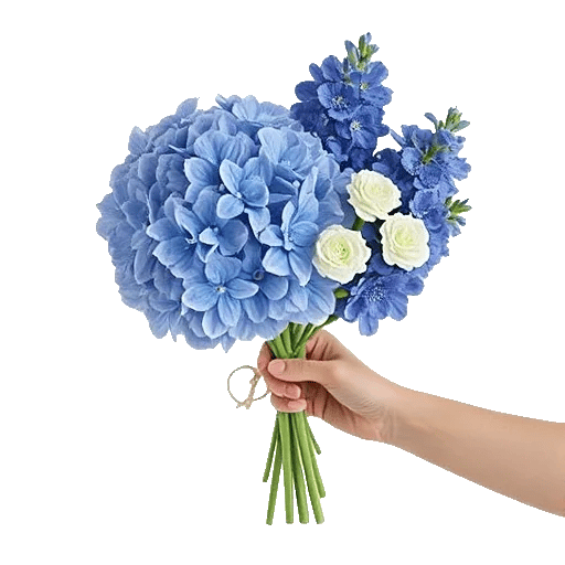 Sapphire Bloom Whisper