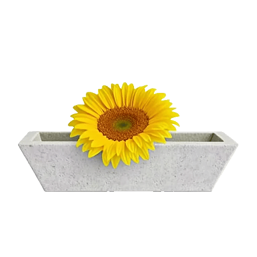 Amber Sunflower Glow