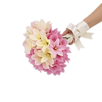 Ivory Garden Grace