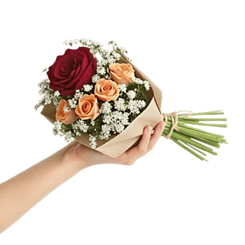 Crimson Rose Elegance