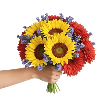 Amber Sunflower Glow