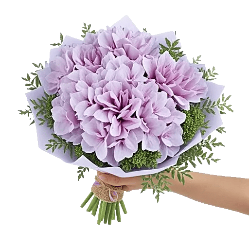 Serene Petal Harmony