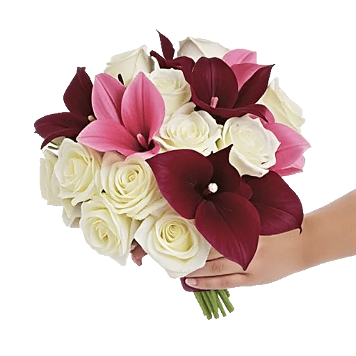 Blushing Rose Symphony