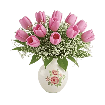 Velvet Tulip Display