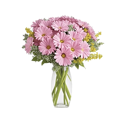 Petal Radiance Bliss