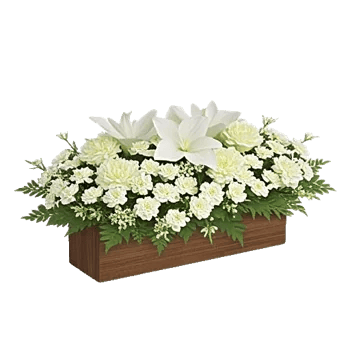 Delicate Petal Cascade