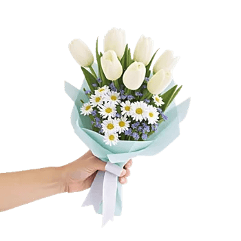 Blossom Harmony Display