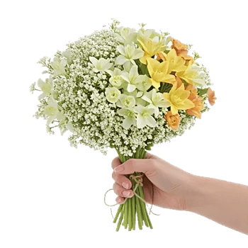 Blossom Radiant Whisper