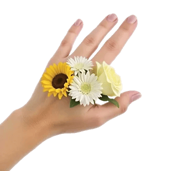 Twinkling Sunflower Dance