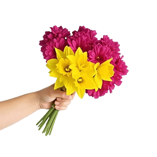 Blossom Harmony Display