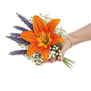 Blossom Glow Symphony