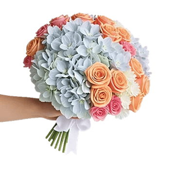 Serene Petal Harmony