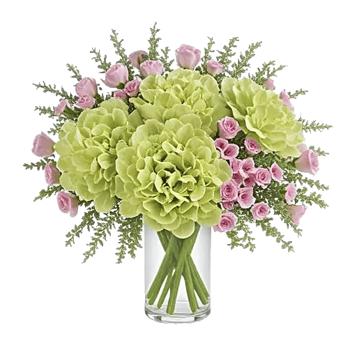 Ivory Blossom Radiance