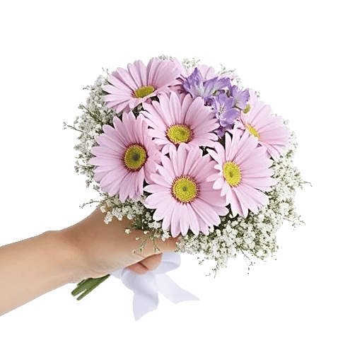 Blossom Petal Serenity