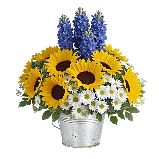 Blossom Petal Serenity