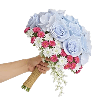 Delicate Petal Cascade