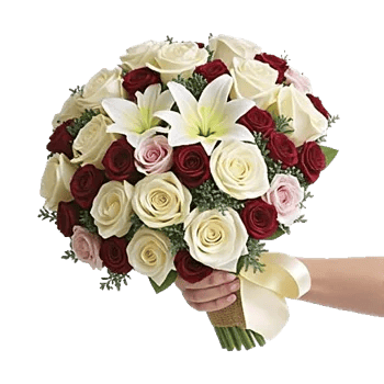 Blushing Rose Symphony