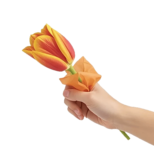 Scarlet Tulip Splendor