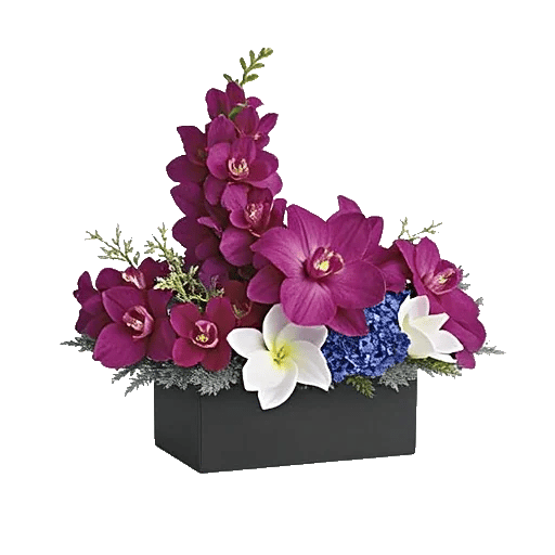 Modern White Orchids