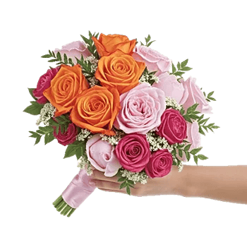 Pastel Pink Roses