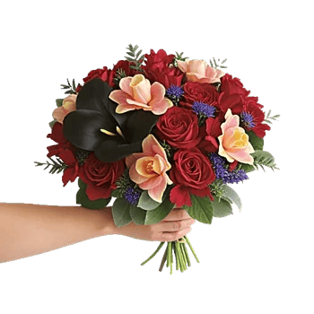 Elegant Calla Lilies