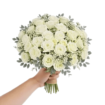 Ivory Garden Grace