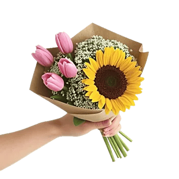 Blossom Harmony Display