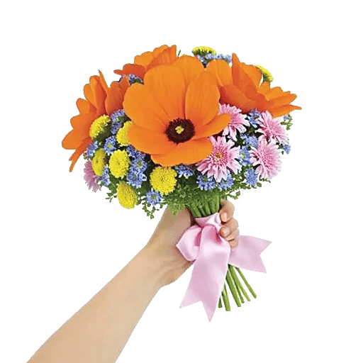 Petal Harmony Bliss